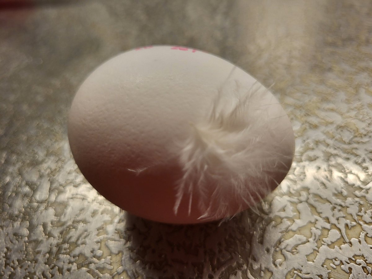 Sormulanmummo's tweet photo. Tein #sinappia ja tarvitsin kananmunan. Tuliko #enkeliterveiset mukana?
Makoisaa #joulua itse kullekin säädylle #Sormulankeittiöstä. https://t.co/hVDHMYF3x1