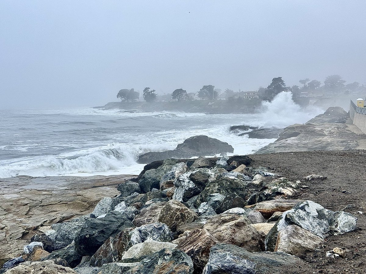 Native Santa Cruz tweet media