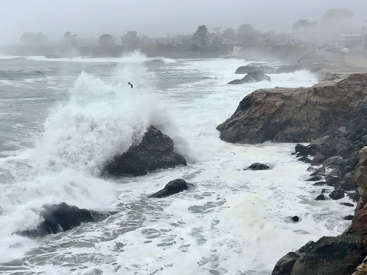 Native Santa Cruz tweet media