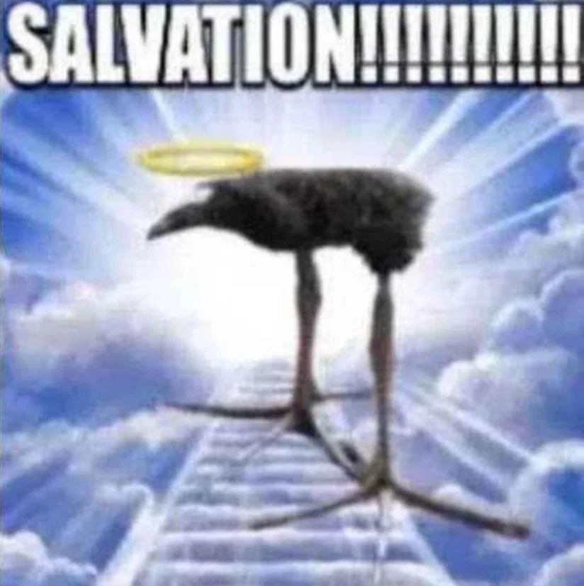 🕐HOURLY🕑 shitpost (@hourly_shitpost) on Twitter photo 