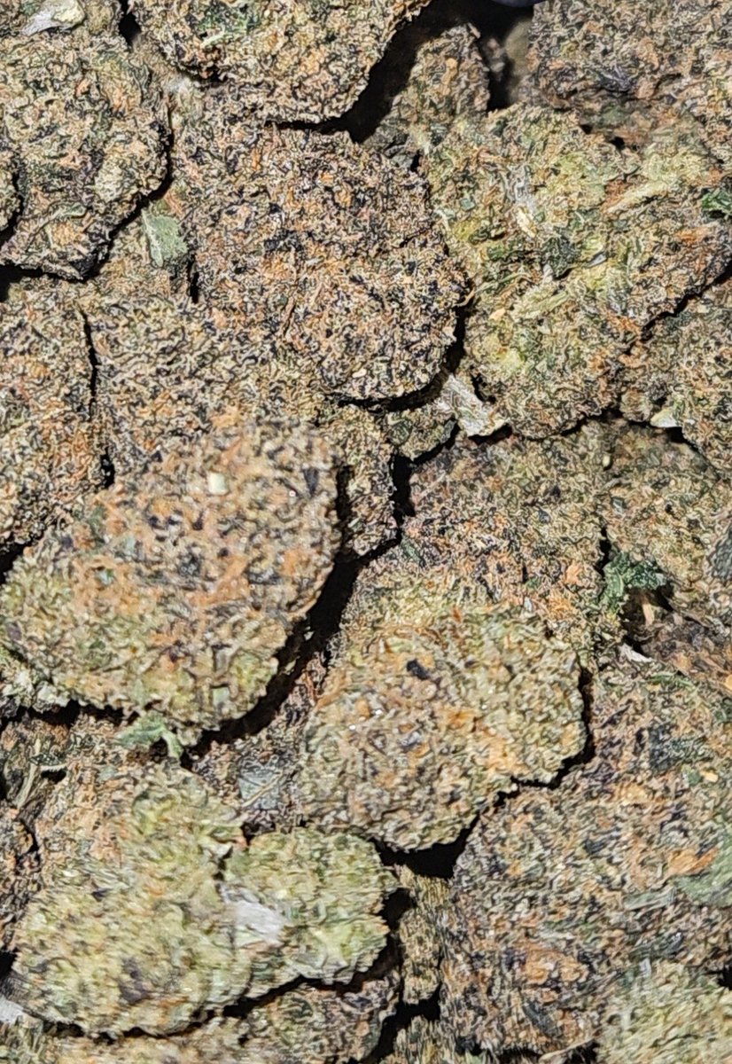 It’s hottttt🤭⛽️ happy holidays🍃 #dfw