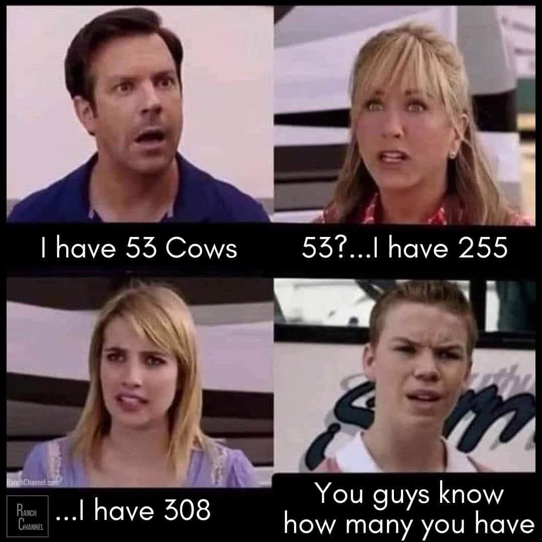 Mountain ranchers at the cattleman’s association Christmas party among the flat landers.