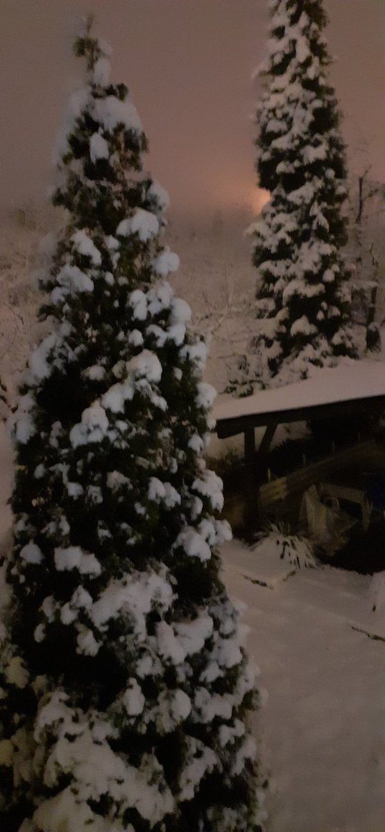 ZProksi's tweet photo. Okitio sneg❄ https://t.co/ZrN6SFE3Dt