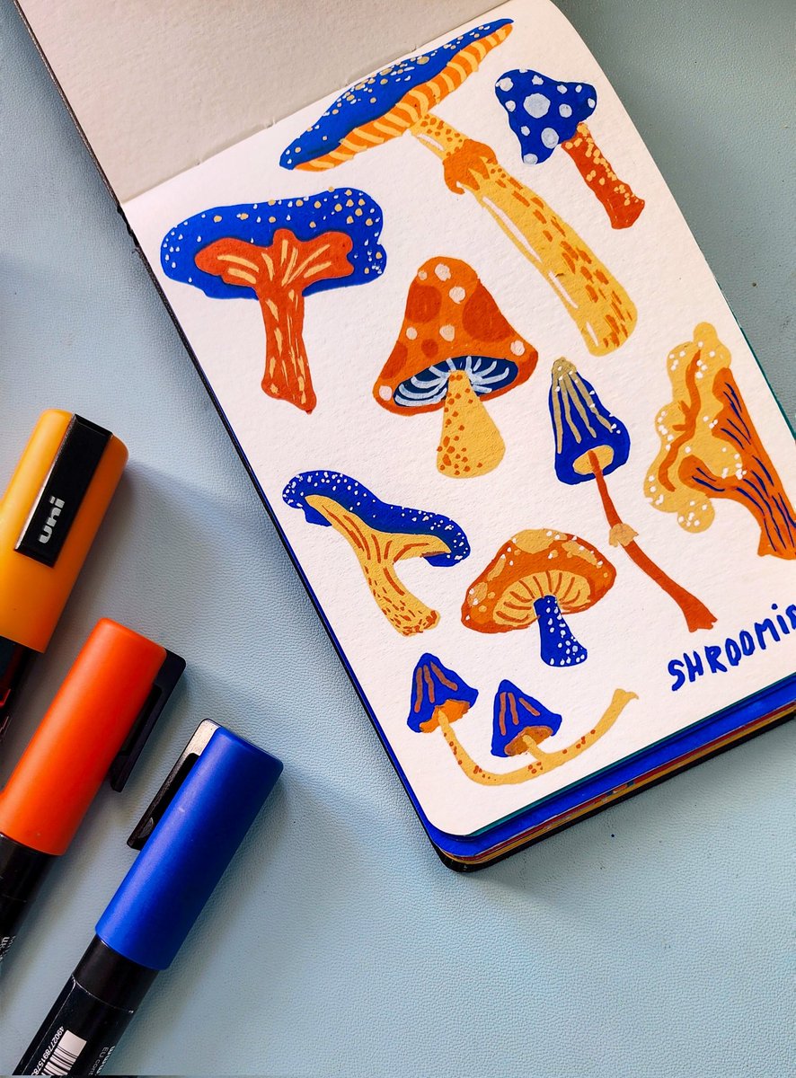 Turkia Leith tweet media