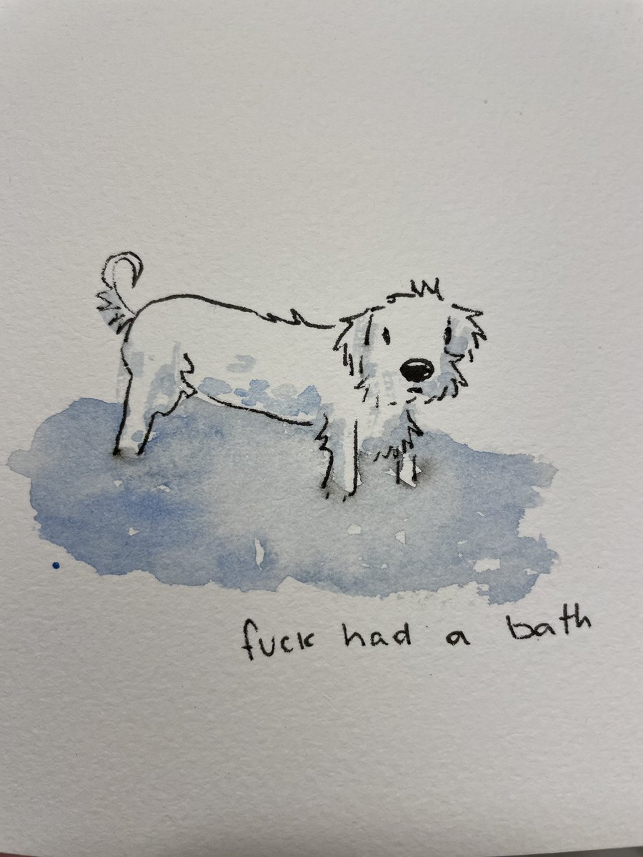 gabrielledrolet's tweet photo. friend tried to text that her dog, ducky, had a bath https://t.co/reP5FWAY72