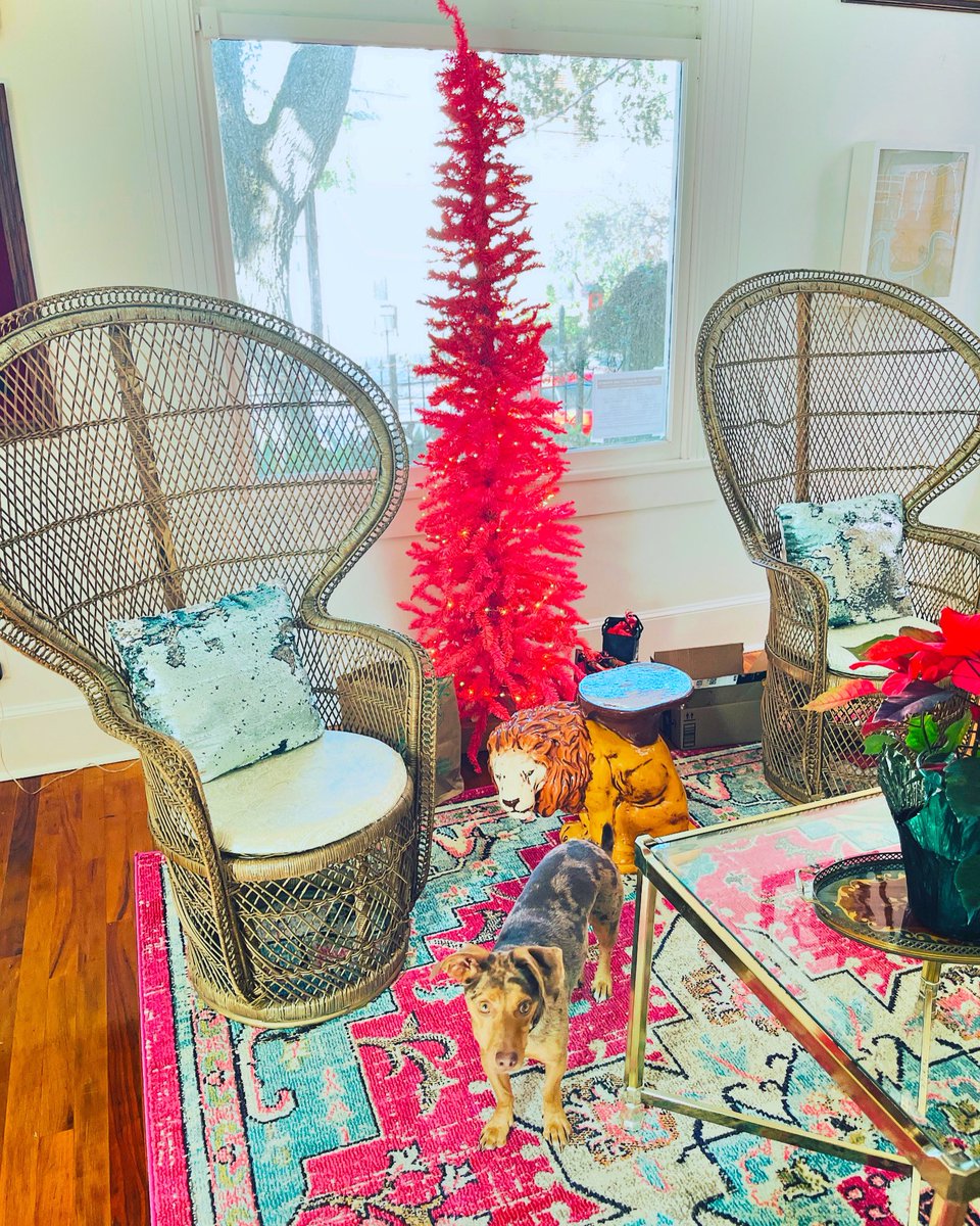 Let there be peace on earth &amp; let it begin with LB.  Happiest of holidays from New Orleans. ☮️💜⭐️🎅🐕