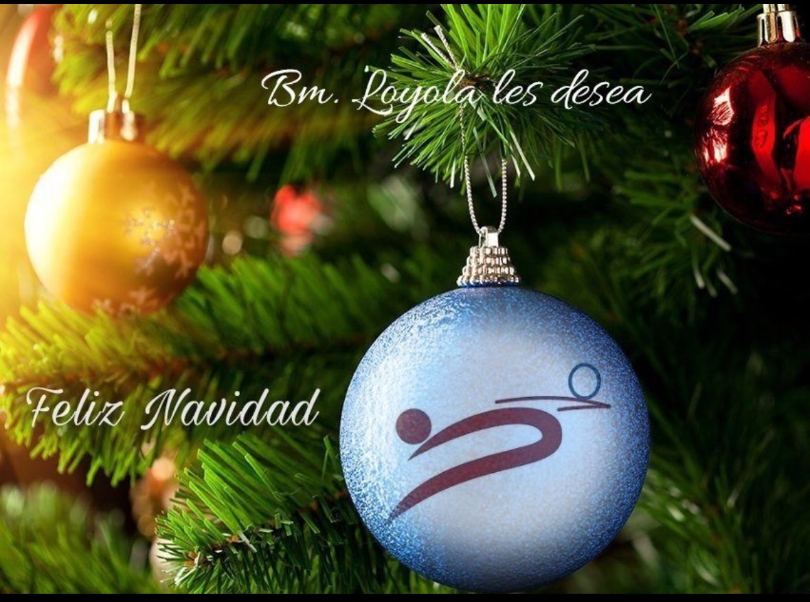 Bm. Loyola (@balonmanloyola) on Twitter photo 