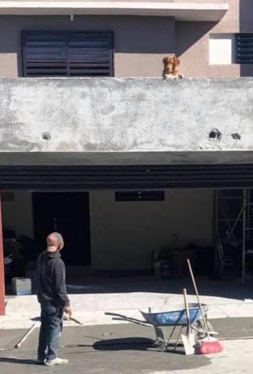 Bolita, por favor 🙏🏽