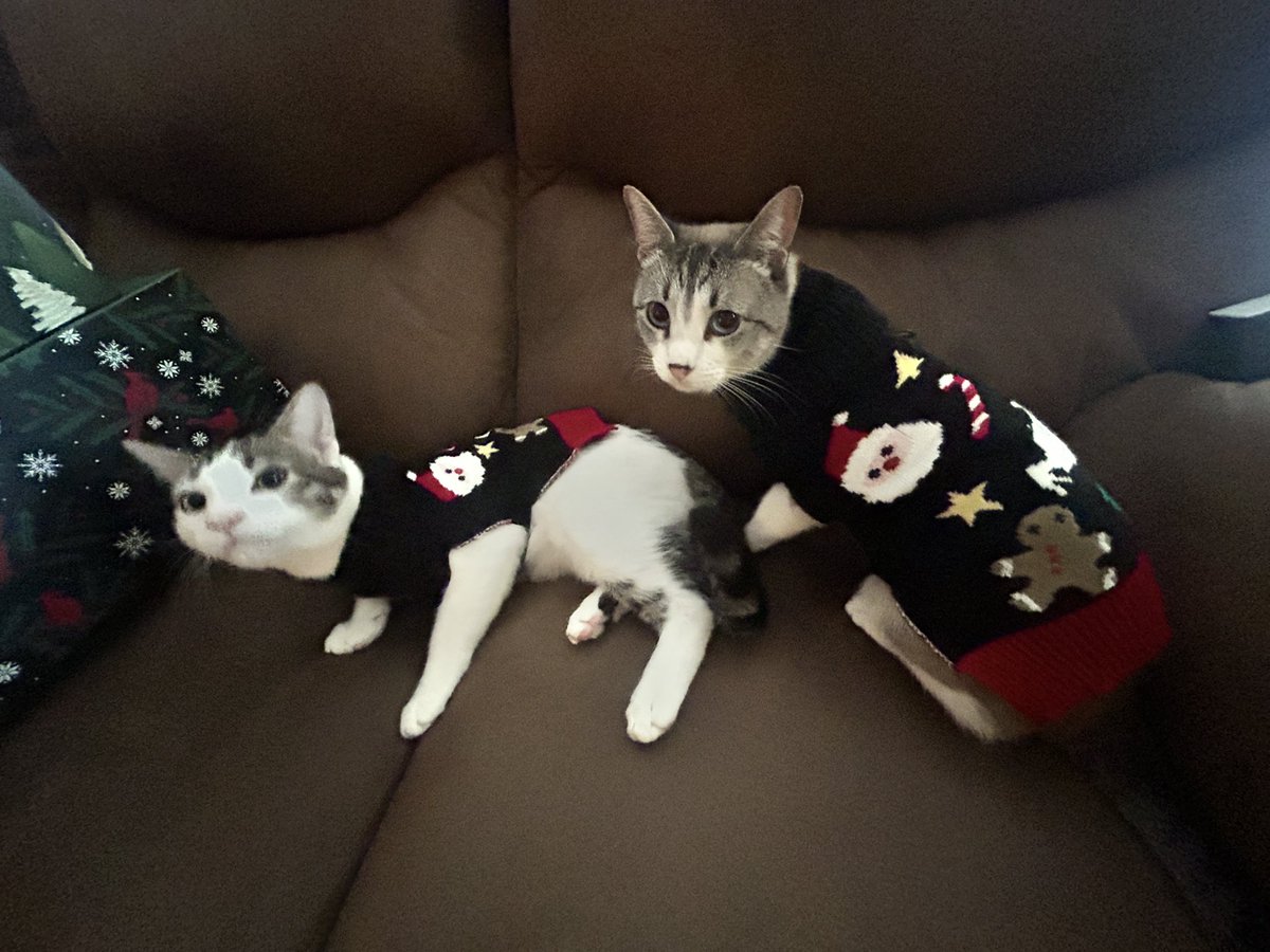 stxxra's tweet photo. Christmas spirit 💘🎅 https://t.co/dJPnSNsim8