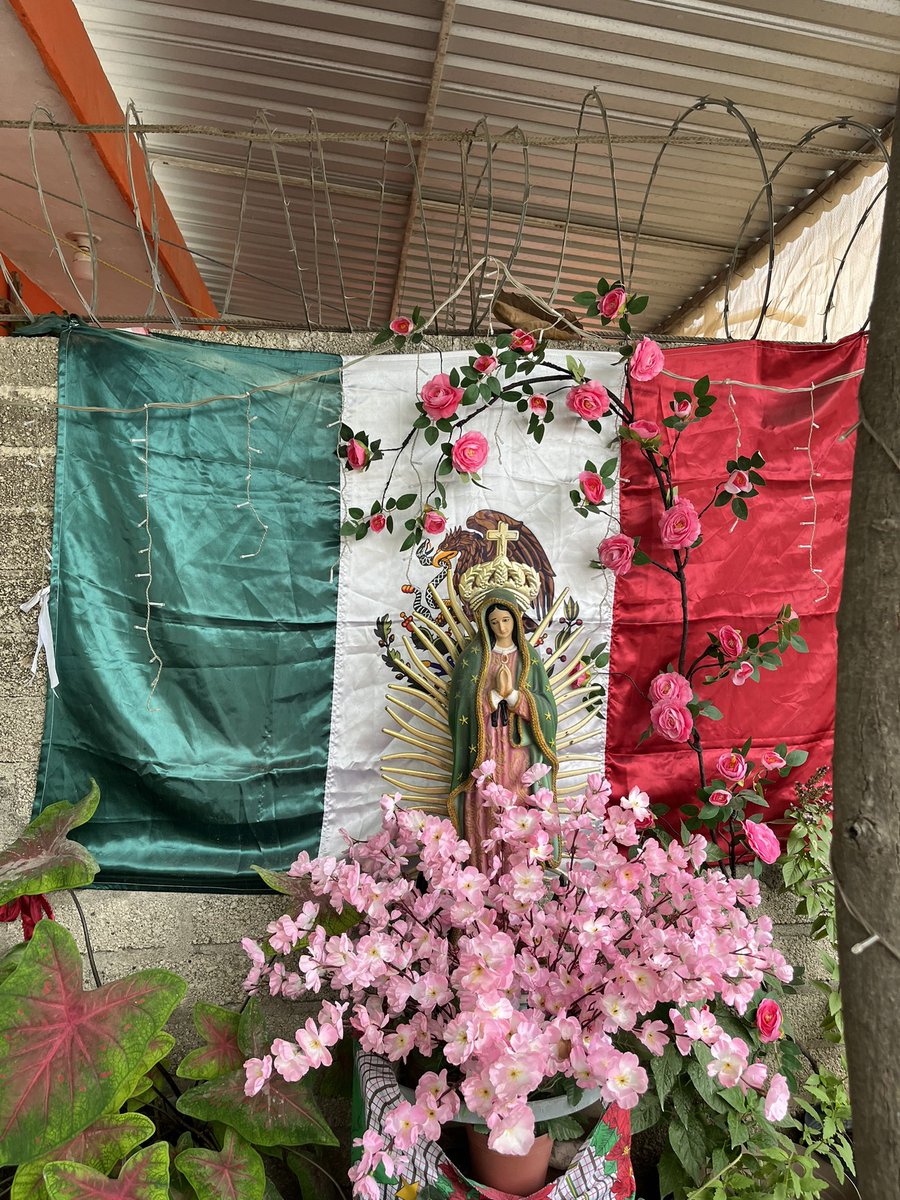 50% OFF ALL ORDERS STOREWIDE
NO CODE NEEDED
SHOP.NATUREWORLD.US