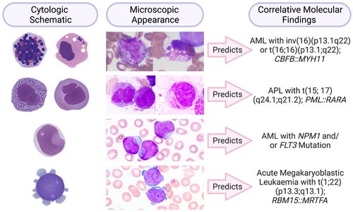 Benlazar S M A tweet media