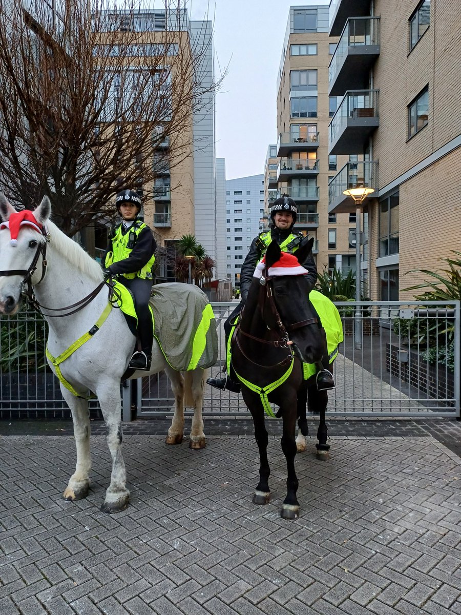 Andy Trotter (@andytrotter51) on Twitter photo Thank you to Mounted Branch <a href="/metpoliceuk/">Metropolitan Police</a> Task Force colleagues who assisted <a href="/Ldn_Ambulance/">London Ambulance Service</a> with a call in Greenwich today. Thank you to Mounted Branch <a href="/metpoliceuk/">Metropolitan Police</a> Task Force colleagues who assisted <a href="/Ldn_Ambulance/">London Ambulance Service</a> with a call in Greenwich today.