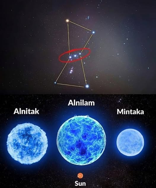 Black Hole tweet media