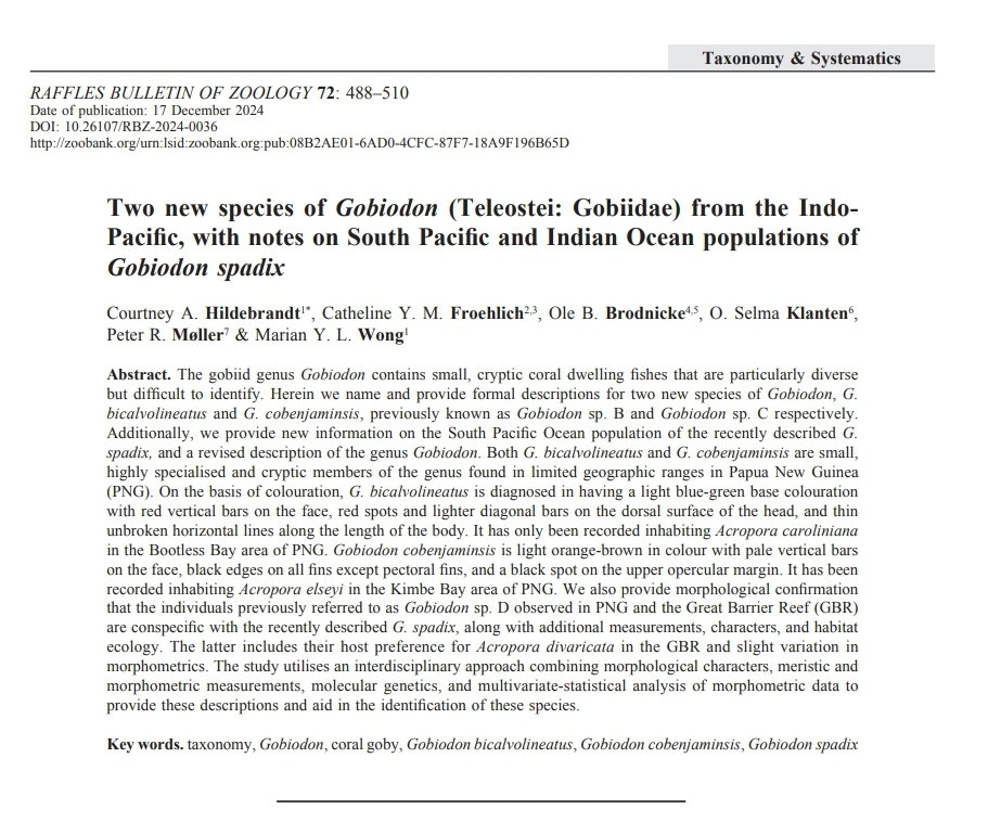 Courtney Hildebrandt (she/they) tweet media