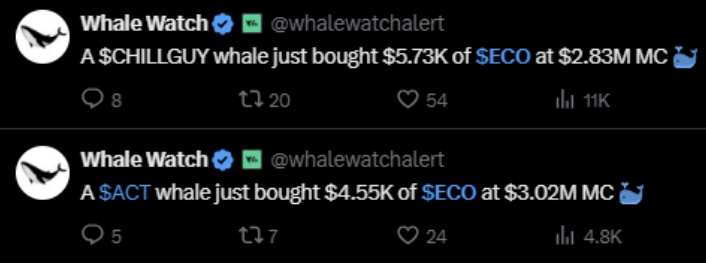 Whales aren't just watching $ECO anymore, they're joining the #EcoVerse