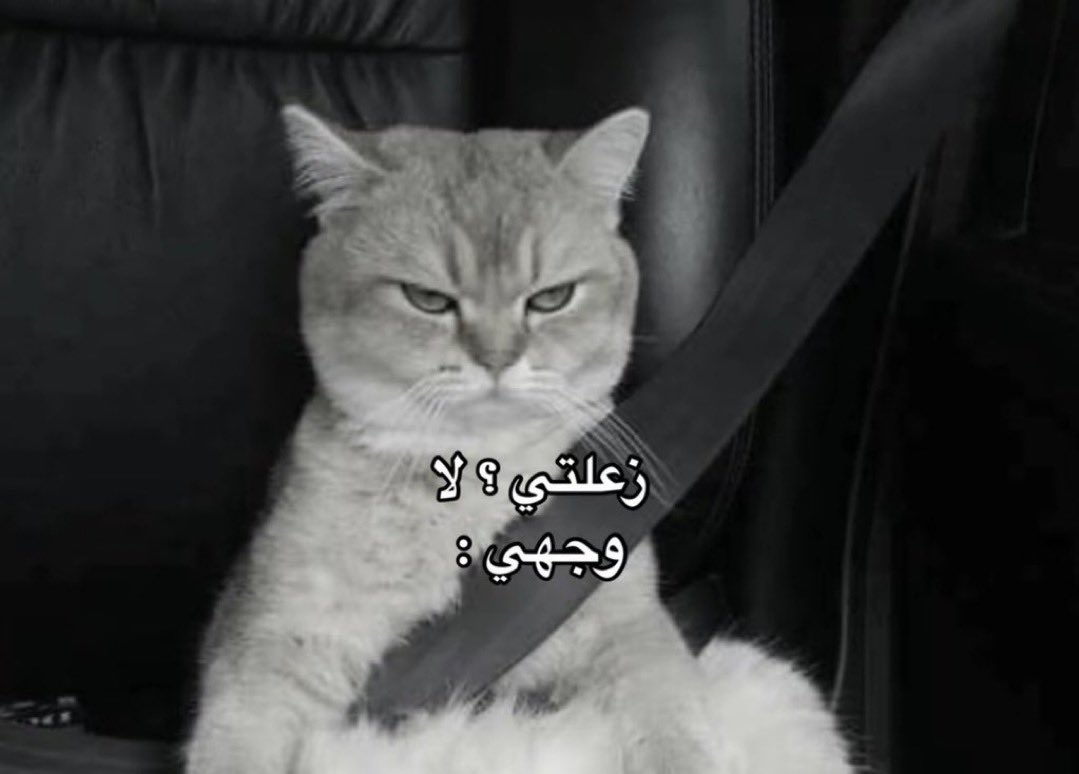 َ (@_9dav) on Twitter photo 