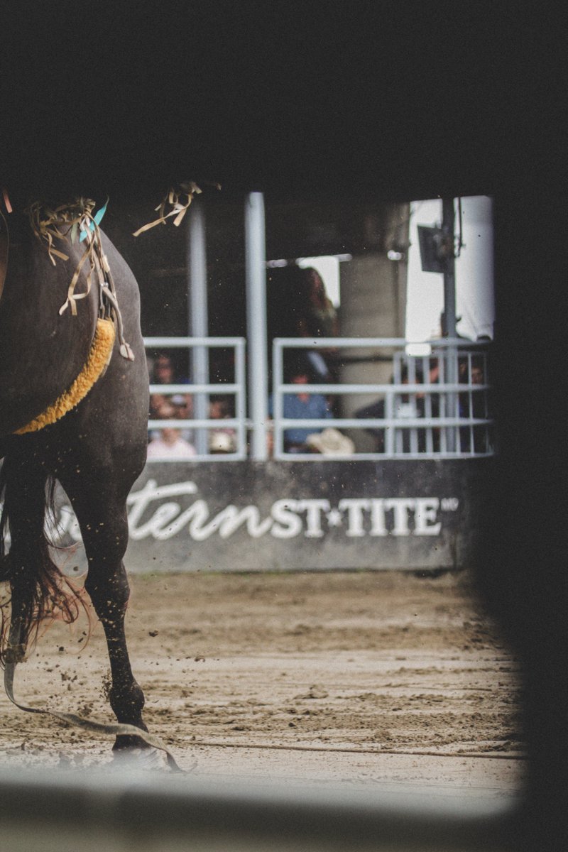 Greguibh tweet media