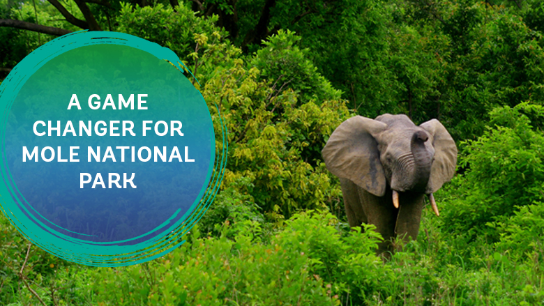 World Bank Environment (@wbg_environment) on Twitter photo A <a href="/WorldBank/">World Bank</a>-supported staff training on new monitoring equipment is a game changer for Ghana’s <a href="/MolePark/">Mole National Park</a>.
Learn more about this <a href="/WBG_IDA/">IDA - World Bank</a> funded project: wrld.bg/yiqR50Uuzt6 A <a href="/WorldBank/">World Bank</a>-supported staff training on new monitoring equipment is a game changer for Ghana’s <a href="/MolePark/">Mole National Park</a>.
Learn more about this <a href="/WBG_IDA/">IDA - World Bank</a> funded project: wrld.bg/yiqR50Uuzt6