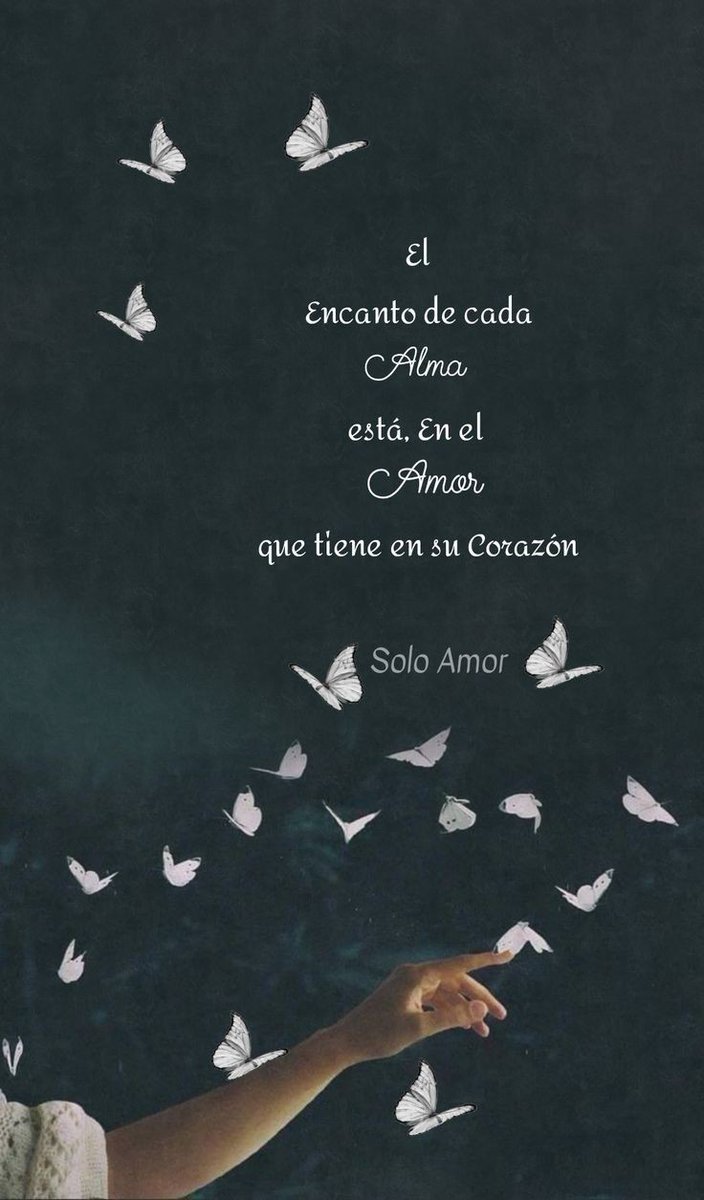 🦋🦋🦋🦋🦋🦋🦋🦋🦋🦋