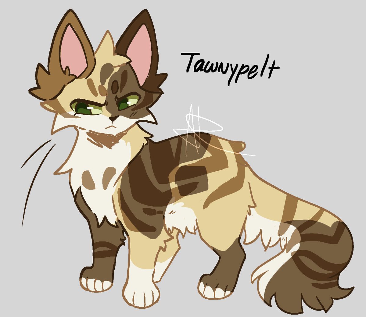 Tawnypelt warmup from a few days ago
