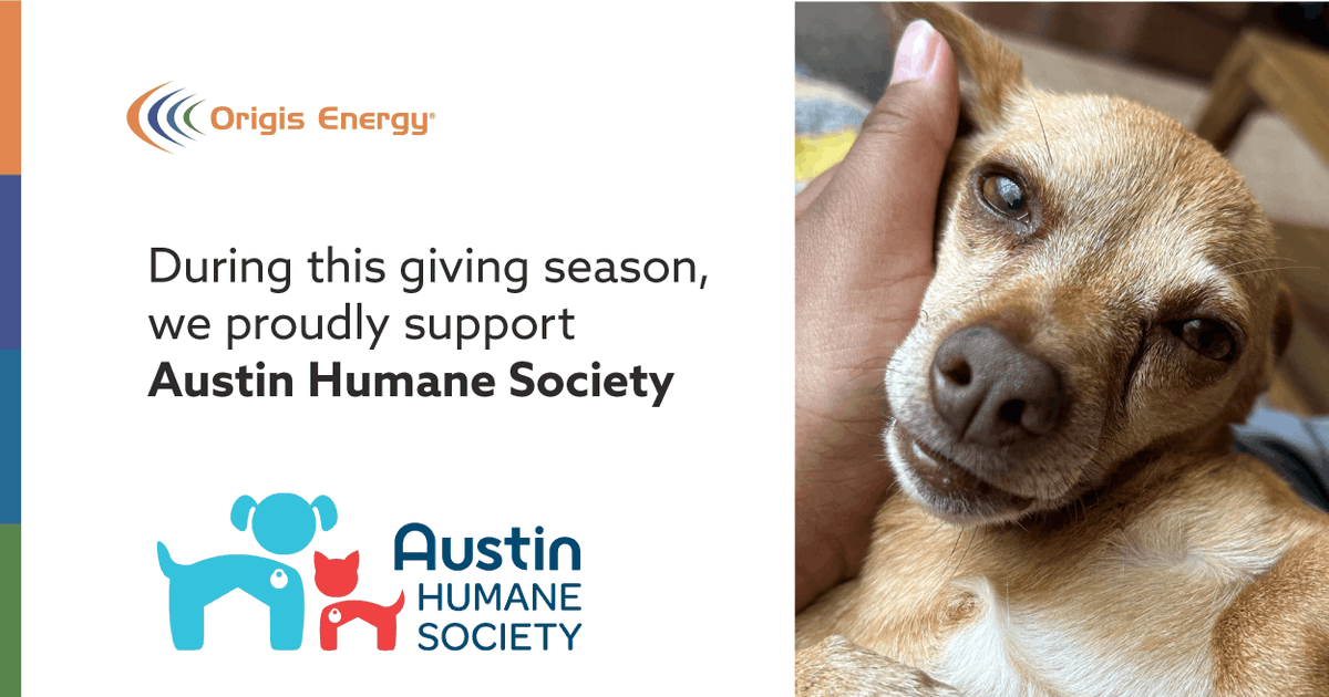 Origis_Services's tweet photo. In Austin, @austinhumane is the longest-standing no-kill, non-profit pet &amp; adoption center in the city. We are proudly supporting them this December. To donate or learn more about the life-saving programs for animals, go to https://t.co/s4ADh2YFVS https://t.co/UCdEB7zggh