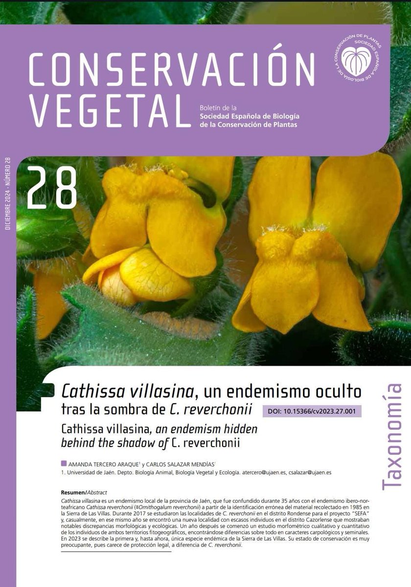 SEBiCoP's tweet image. Nos complace informar que ya está disponible un nuevo volumen de Conservación Vegetal, este año con interesantes noticias sobre conservación y un dosier especial dedicado al evento botánico del año #ibc2024

Disponible en el enlace👇🏻
conservacionvegetal.org/9-published-is…

#CV28