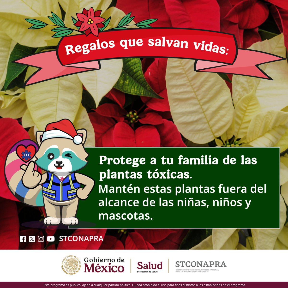 🌿☠️ Cuidado con las #PlantasTóxicas.
En 2022, en México, se registraron 1,410 defunciones por #EnvenenamientosEIntoxicaciones. 
Plantas decorativas como la nochebuena, el muérdago y los lirios pueden ser peligrosas si se ingieren.
🎄 #RegalosQueSalvanVidas: #EvitaIntoxicaciones