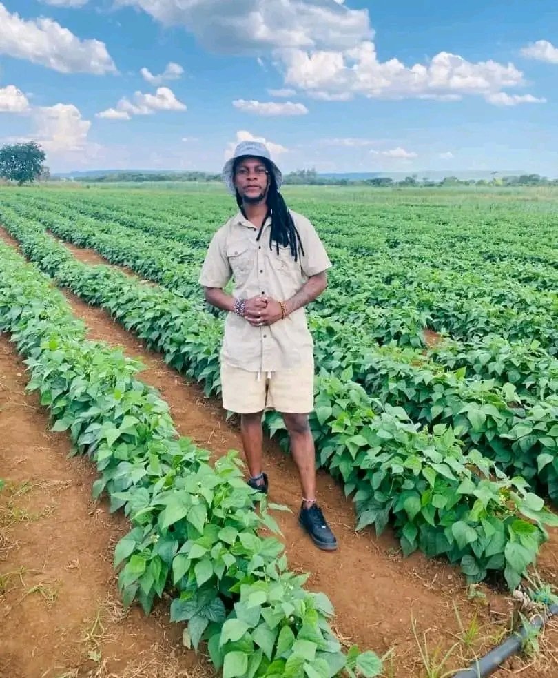 Nate Nolan tweet media