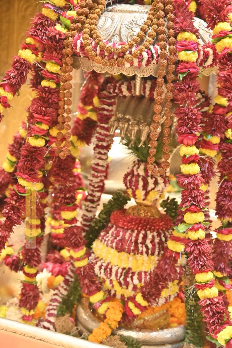 23.12.2024, बाबा विश्वनाथ के शयन आरती, दर्शन
#kashi #darshan #VishwanathDham