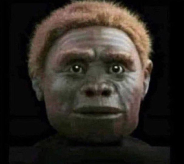 NEOSENSE_'s tweet image. Do I have moots that have worked in museum organization that can help me lie #professionally on my resume ??