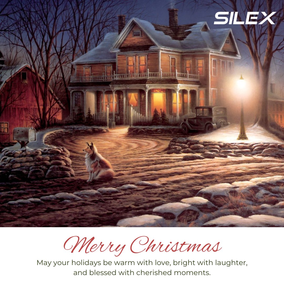 SilexData's tweet photo. The Silex Team sends heartfelt wishes for a holiday season filled with peace, joy, and the warmth of togetherness. May this Christmas bring happiness to you and your loved ones! #MerryChristmas #Peace #Joy #SilexTeam https://t.co/DgLGIryrLV