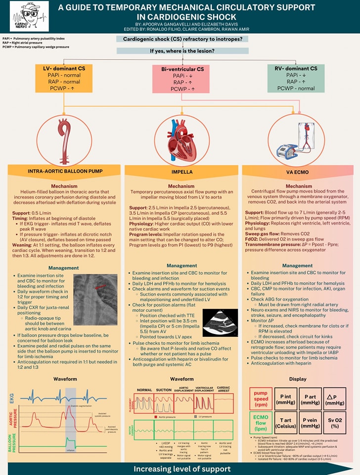 ZHeart11768530's tweet photo. 🔴🏥New to the CCU? Not sure how to manage temporary mechanical circulatory support? ⤵️ 

🔹⭐️Check the our new @CardioNerds infographic on using TMCS in cardiogenic shock! Explore their mechanisms, management, and waveforms you need to know! https://t.co/7rx5NLXLzc