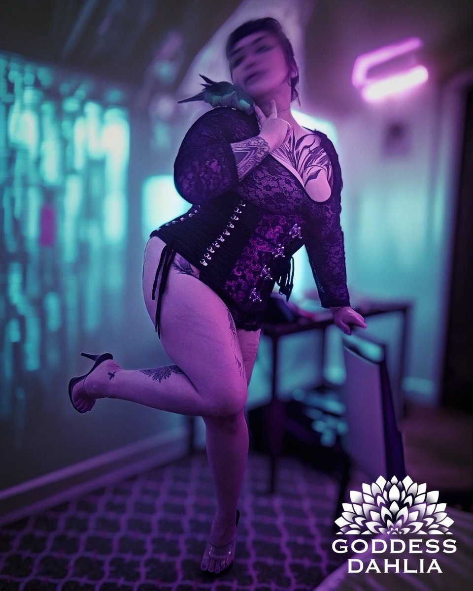 Goddess Dahlia | 🇸🇬 Singapore BDSM (@goddessdahliasg) on Twitter photo Merry fucking Xmas 🎄 xx from your favourite sadist! (I’m joking)
~
<a href="/AsiaDomina/">Asia Dominatrix</a> <a href="/SingaporeDomina/">Singapore Dominatrix</a> // tags: fetish BDSM mistress dominatrix asian femdom Singapore kink mistress hosting session Merry fucking Xmas 🎄 xx from your favourite sadist! (I’m joking)
~
<a href="/AsiaDomina/">Asia Dominatrix</a> <a href="/SingaporeDomina/">Singapore Dominatrix</a> // tags: fetish BDSM mistress dominatrix asian femdom Singapore kink mistress hosting session