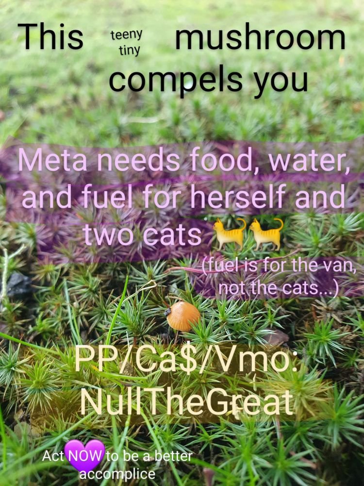 HoydenSpark's tweet image. 🚨COMMUNITY ACTION NOW🚨

⚠️Meta needs funds for food, water and fuel ASAP!

📲SHARE if you can't spare
📢BE LOUD - get this seen
💜SEND SURVIVAL FUNDS #KeepFolksAlive

paypal.me/NullTheGreat