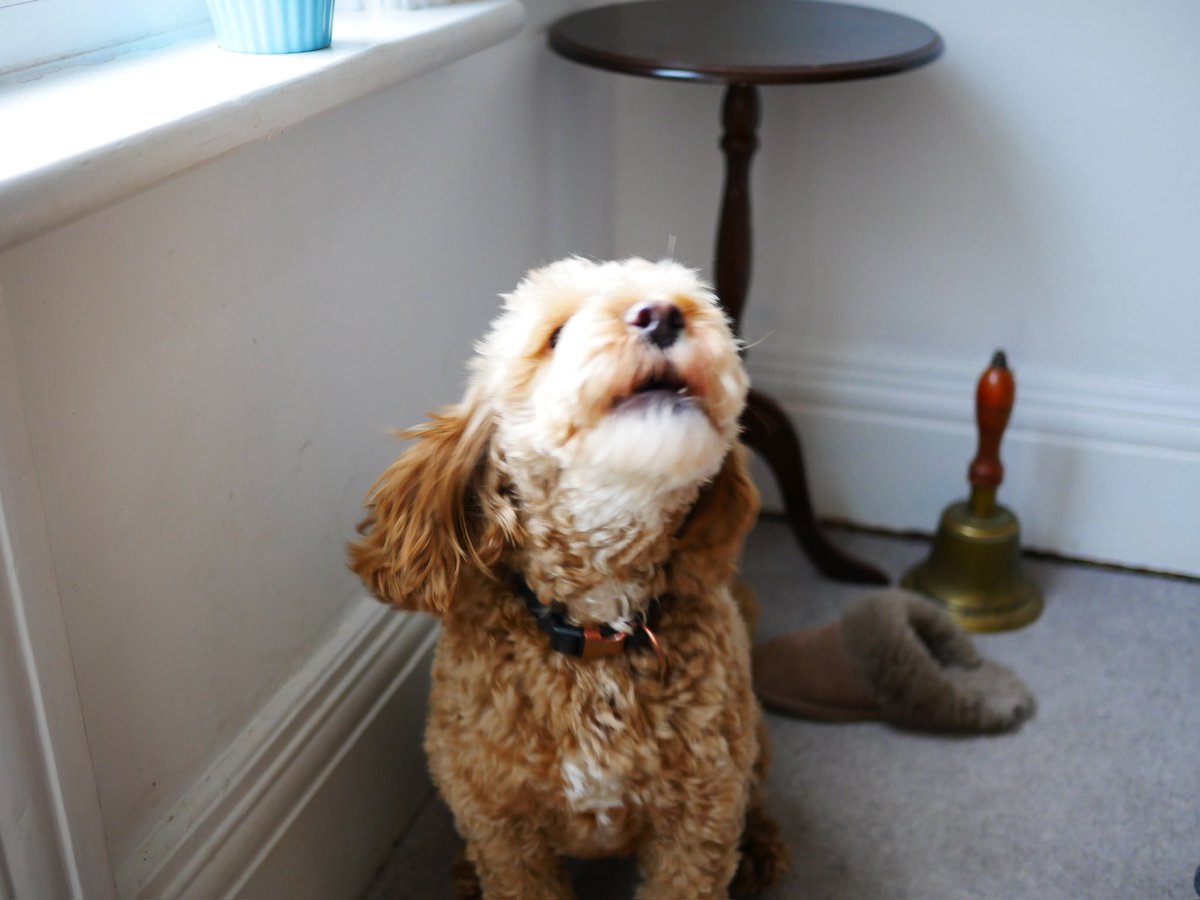 Моєму хлопчику сьогодні один рік 💛