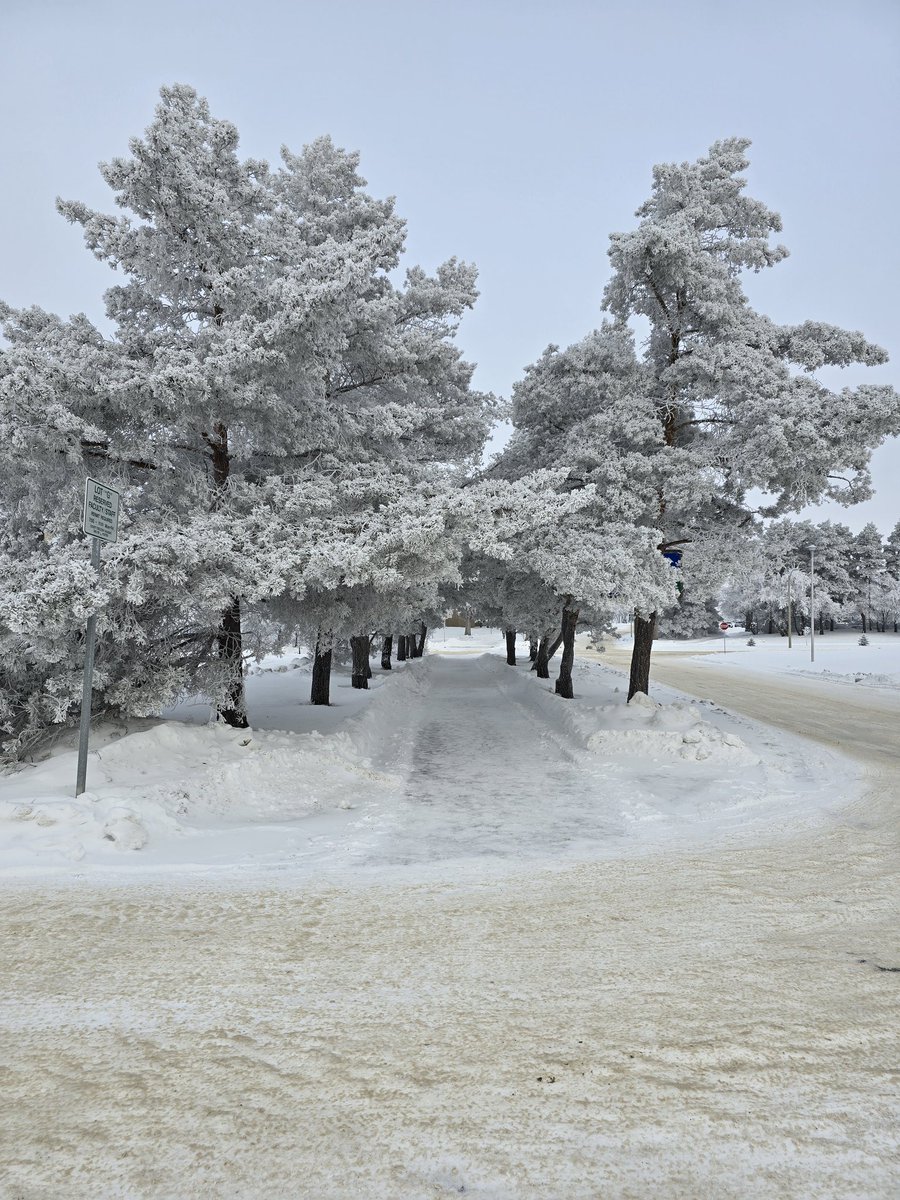 jjb930's tweet image. Campus looked particularly frosty today. Happy holidays everyone!