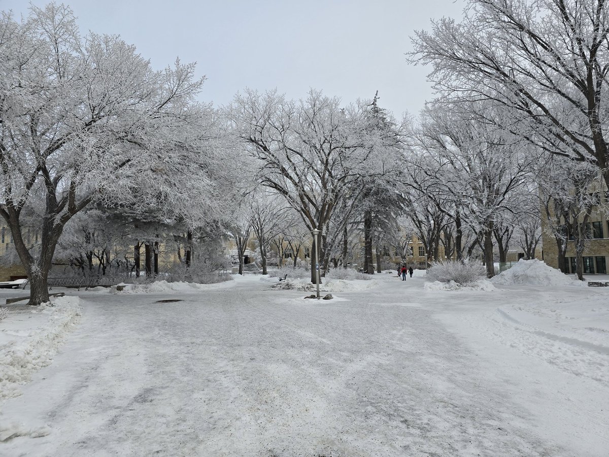 jjb930's tweet image. Campus looked particularly frosty today. Happy holidays everyone!