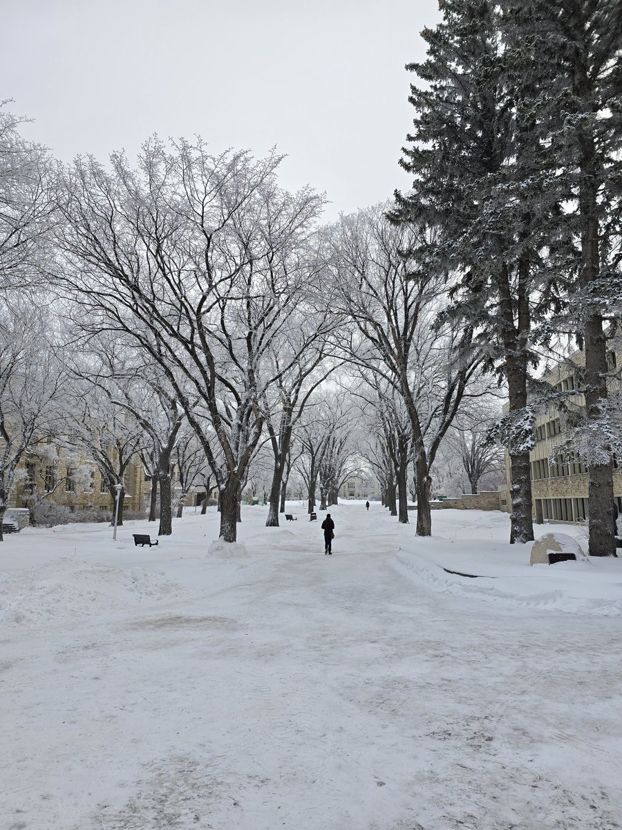 jjb930's tweet image. Campus looked particularly frosty today. Happy holidays everyone!