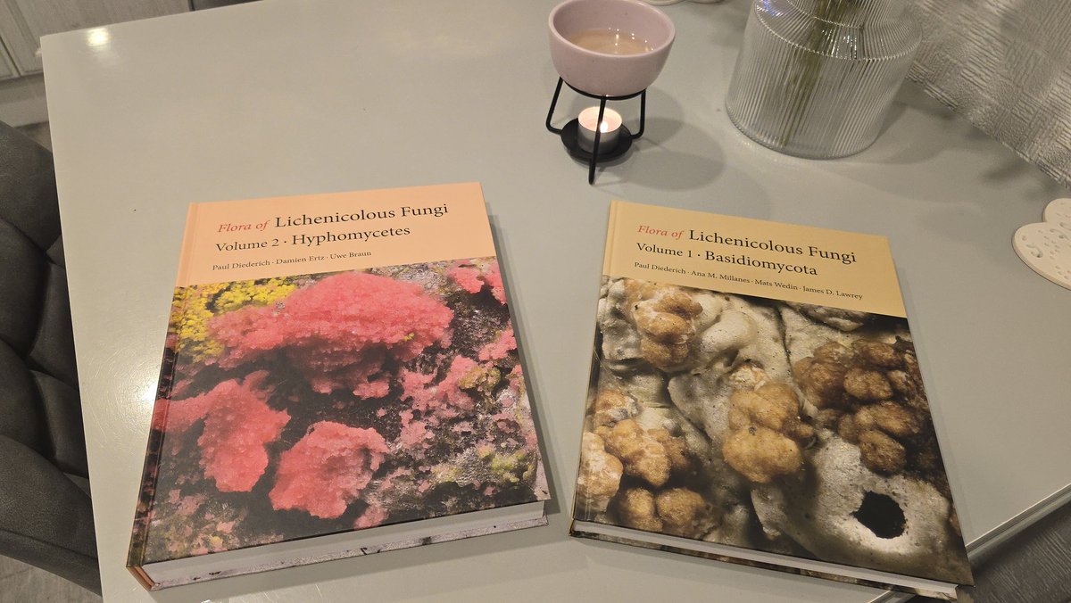 Jamie warren tweet media