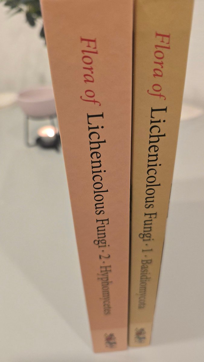 Jamie warren tweet media