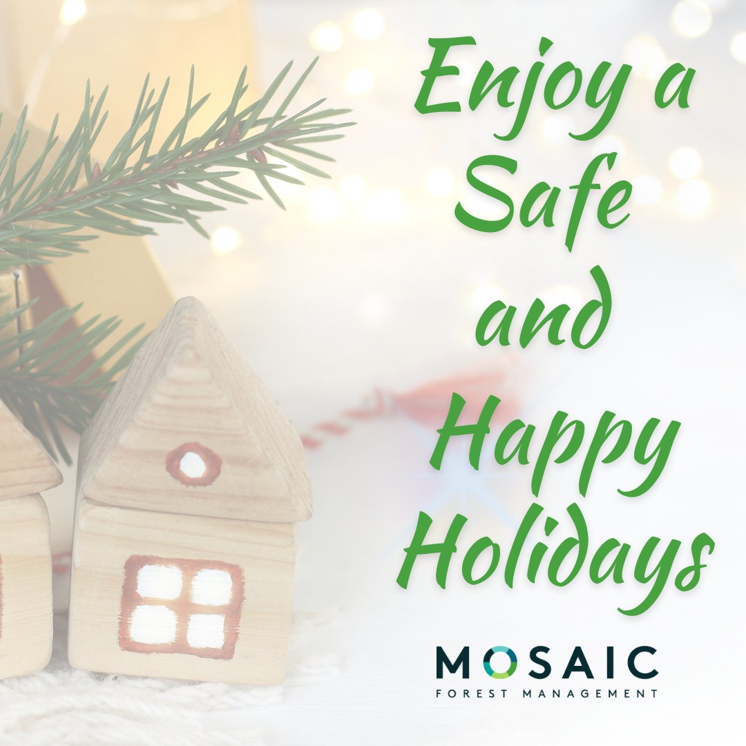 mosaicforests's tweet image. Wishing You a Joyful Holiday Season! As we deck the halls for the festive spirit 🎄 Let’s keep safety in mind: 1. Keep trees & wrapping away from heat. 2. Avoid overloading outlets. 3. Never leave lit candles unattended. 4. Ensure smoke alarms work on every level.