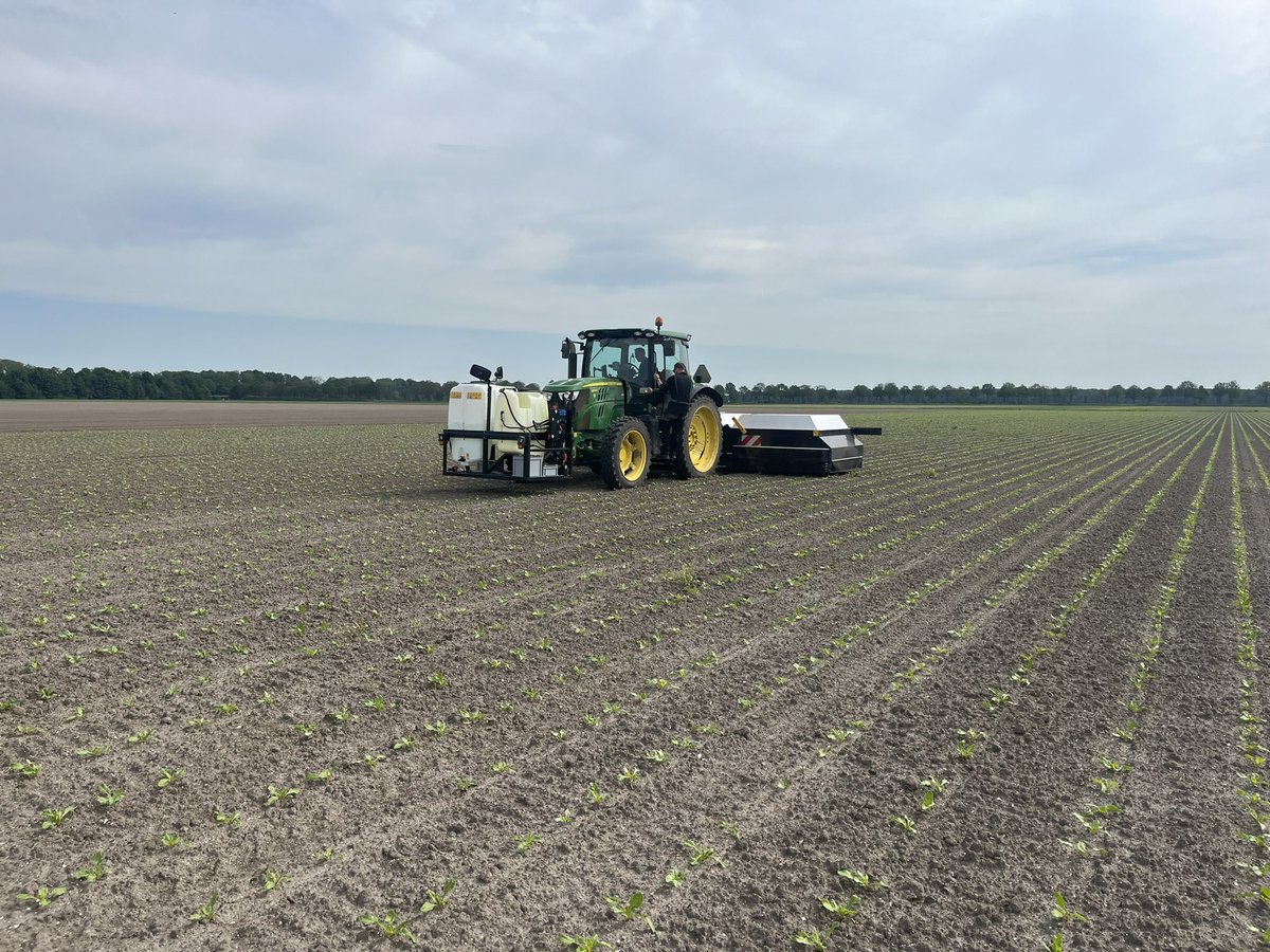 Arjan Beuling tweet media