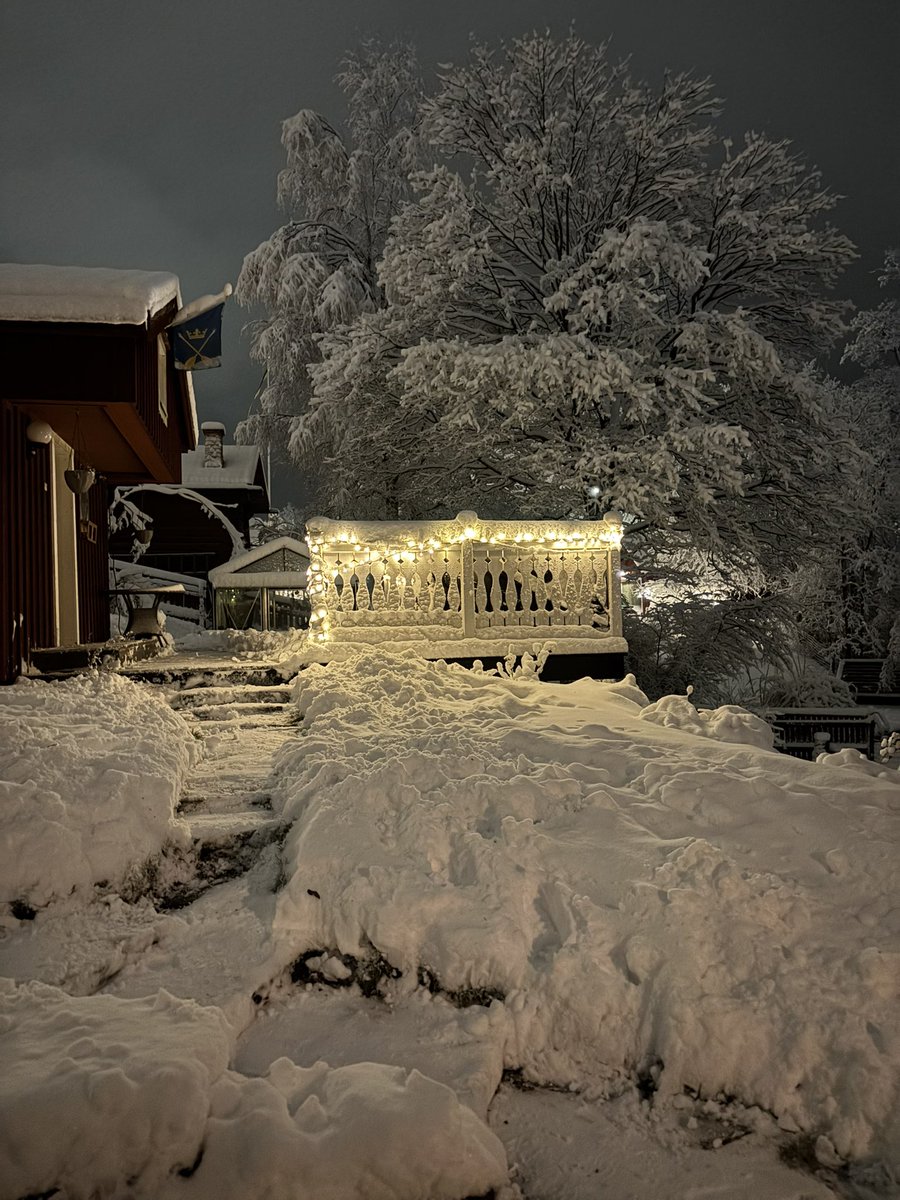 Lite ledsen igår då det verkade som att det inte skulle bli snö till jul. 
Det blev det… 
God Jul &amp; Gott Nytt År till Er alla i cybervärlden