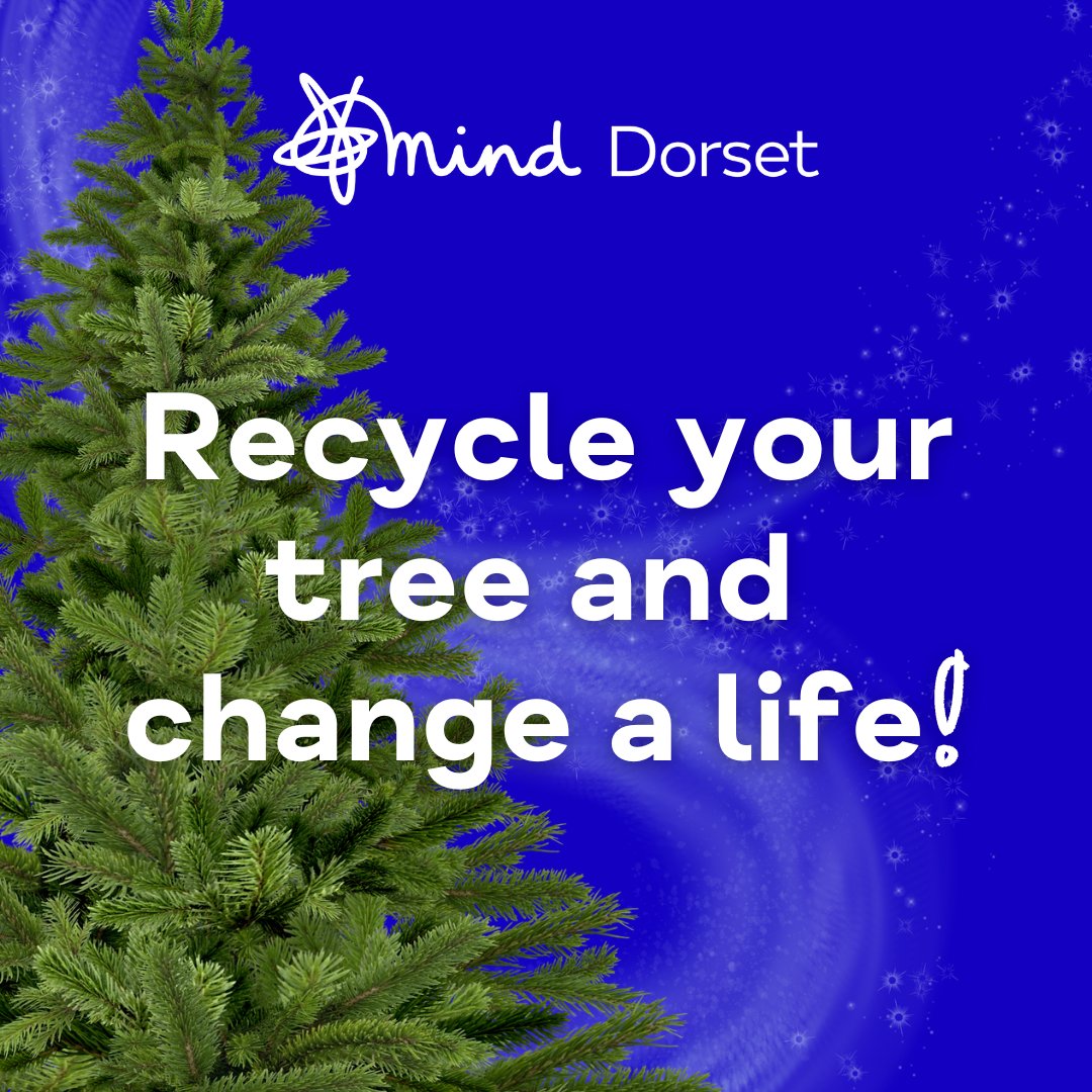 DorsetMind's tweet photo. 🎄Book your Xmas Tree Collection for £15! 

Each tree funds a 1-2-1 mentoring session for someone facing #mentalhealth challenges in Dorset💙 

📅 Dates: 6–8 Jan 2025
⏰ Book by 1st Jan!
🔗 https://t.co/vcJhWthOwo

#XmasTreeRecycle #Charity #MentalHealth #DorsetMind @drandymayers https://t.co/CgTvqppEeW