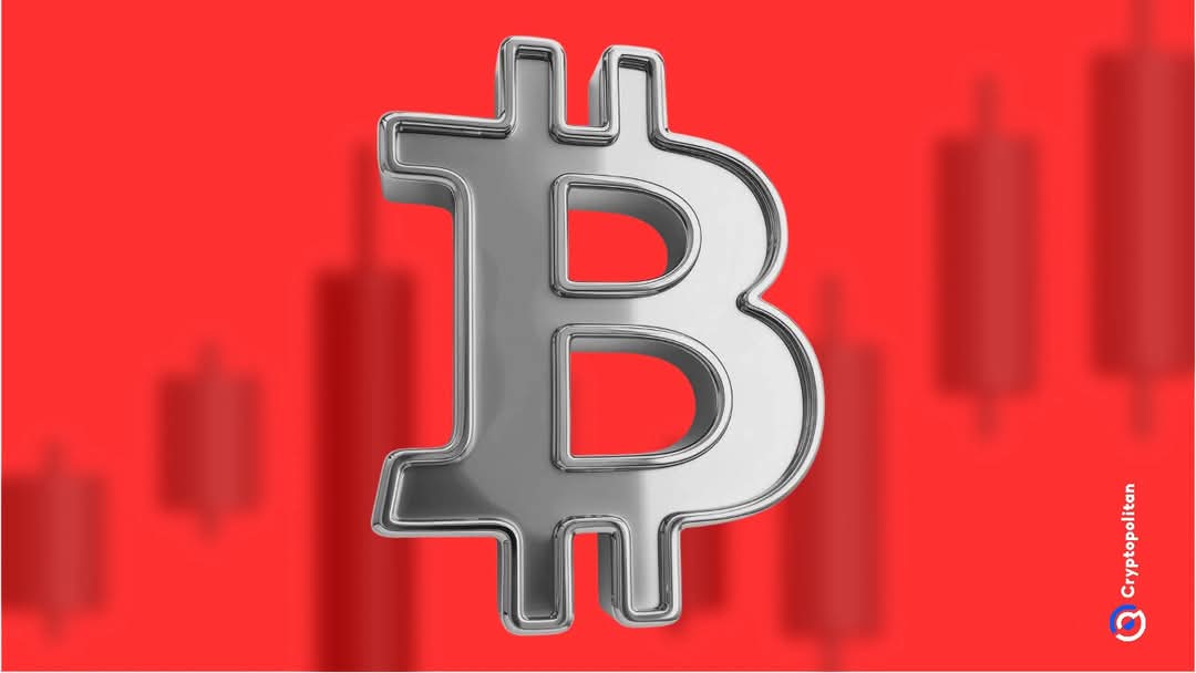 I am very happy with wealth management work, I made a profit of $303,876.19/ with $17,000/ from the trading platform. Contact :  add Zangi private number for confidential correspondence and calls
1001557933
services.zangi.com/dl/conversatio…