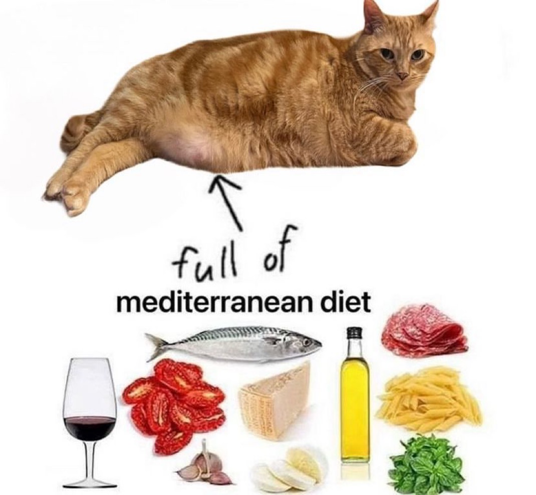 ShitpostGateway (@shitpostgate) on Twitter photo 