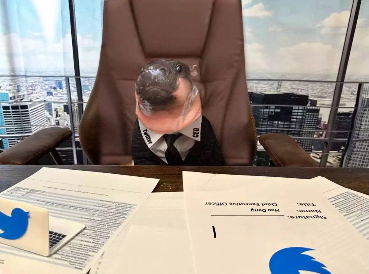 onchainmontana's tweet photo. @X there can only be one 

It is Chief Moodeng Official  of X

#moodengeth https://t.co/tGV6misZX8