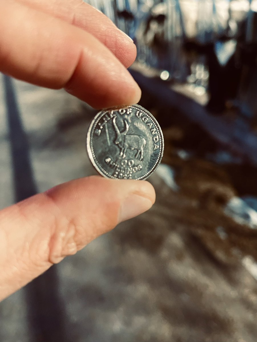 IonMoraruDairy's tweet photo. Good evening folks! 
Maybe you had something like this when you put on a coat you hadn't worn in a while and you find something in the pockets? Here I found 100 Ugandan shillings 😂 with Ankole… #Uganda #Ankole https://t.co/VaBUk1Nsp0