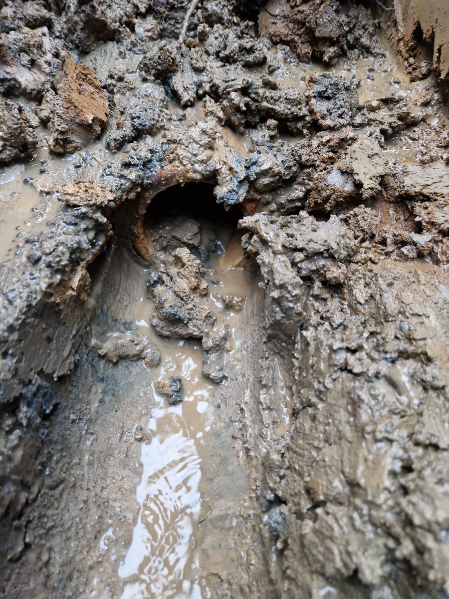 ChorleyGolfClub's tweet image. 23/12
Last few days @DiggerduncTPL been in and finished today. Finding new drains on 8th, which are now running and making a start on clearing the scrub front right of the 11th white tee.
We also prepped the 3rd tee which had previously been rotovated for turfing in the new year.