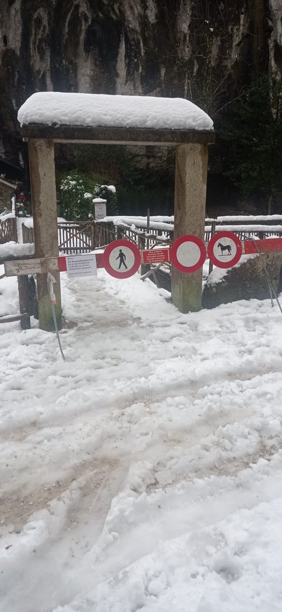 SergioWyniger's tweet photo. Der Durchgang durch die Verenaschlucht zur #Einsiedelei bleibt aus Sicherheitsgründen bis am 24.12.2024 um 12 Uhr gesperrt. Grund dafür sind umgestürzte Bäume. Der Forstbetrieb der #BürgergemeindeSolothurn arbeitet mit Hochdruck an der Räumung der Schlucht. https://t.co/qe3ndc7ISN